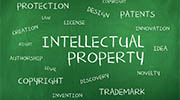 Morocco intellectual property rights investigator